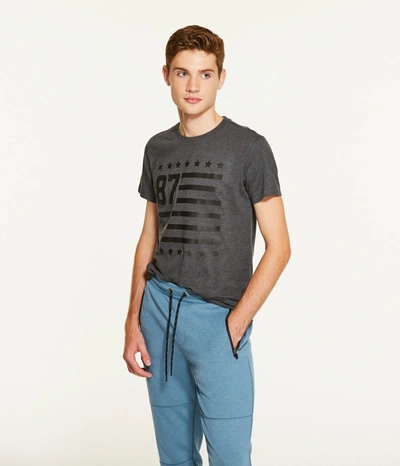 Aéropostale Men's 87 Flag Graphic Tee In Grey