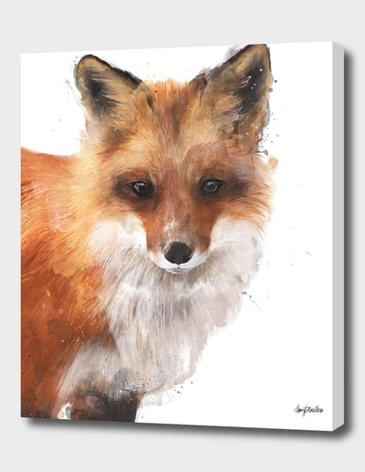 Curioos Encounter