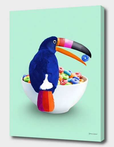 Curioos Cereal Toucan