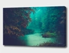Curioos Sanctuary