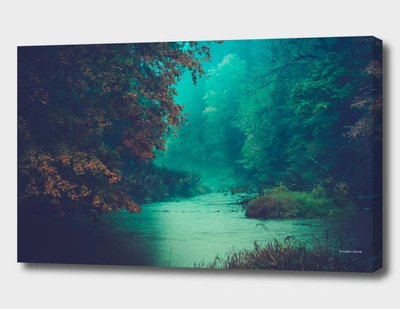 Curioos Sanctuary