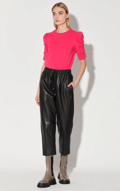 Walter Baker Minh Jogger In Black