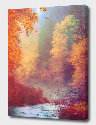 Curioos Dreams Remembered