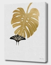 CURIOOS BUTTERFLY & MONSTERA