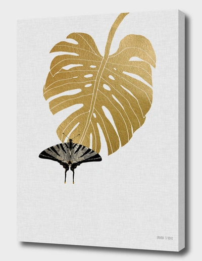 CURIOOS BUTTERFLY & MONSTERA