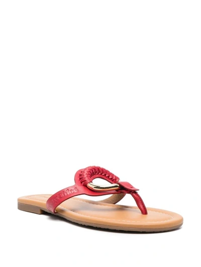 See By Chloé Hana Leather Toe-post Sandals In Red