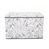 Baum Home Outfitters Kid's Coloring Lidded Large Trunk W/ Removable Divider And 4 Pack Of Washable Marker