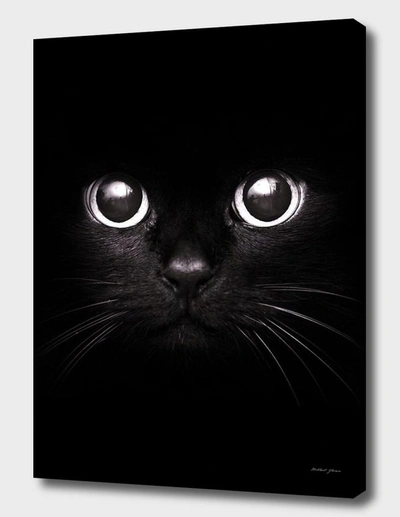 Curioos The Black Cat