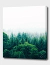 Curioos Adventure