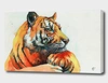 Curioos Tiger-the-hunter