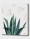 Curioos Agave Geometry