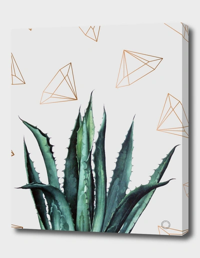 Curioos Agave Geometry In Grey