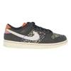 Nike Dunk Low Retro Se Rainbow Trout Casual Shoes In Multi