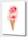 Curioos Two Scoops