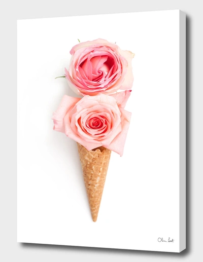 Curioos Two Scoops In Pink