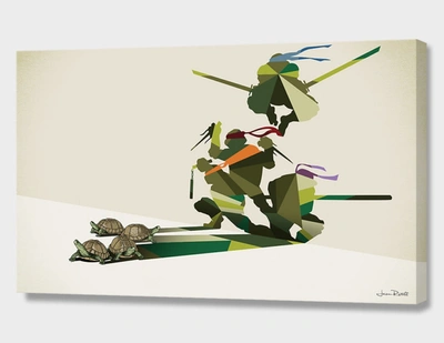 Curioos Walking Shadow, Turtles