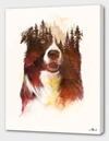 Curioos One Night In The Forest