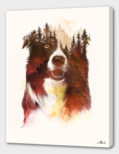 Curioos One Night In The Forest In Brown