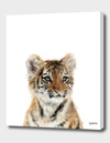 Curioos Little Tiger