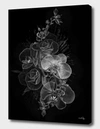 CURIOOS FANTASMAGORIK BOTANICA