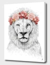 CURIOOS FESTIVAL LION