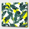 Curioos Tropical '17 - Fresh