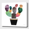 Curioos Pretty Cactus