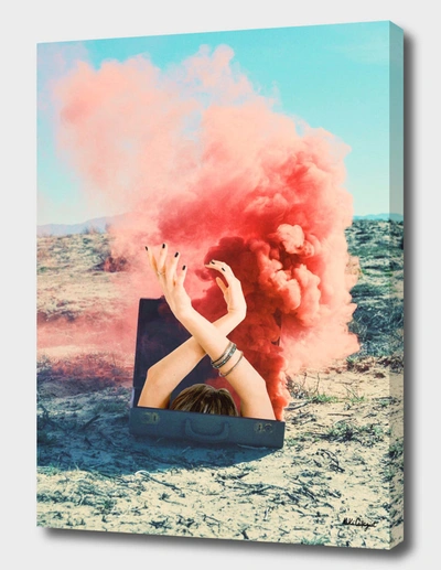 Curioos Adventure Begins