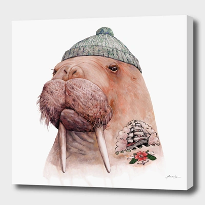 Curioos Tattooed Walrus