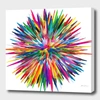 CURIOOS COLOR EXPLOSION THREE