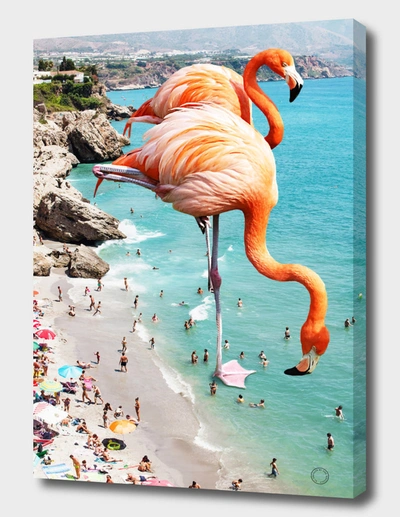 Curioos Flamingos On The Beach In Orange