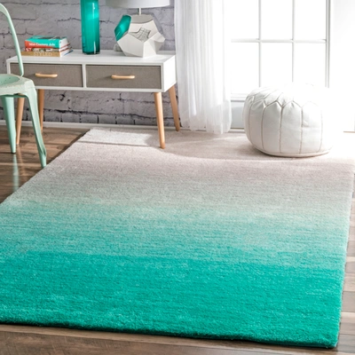 Nuloom Handmade Ombre Shag Area Rug