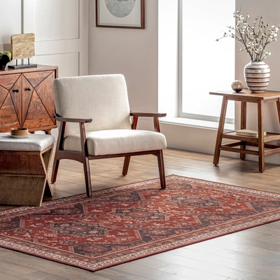 Nuloom Kathryn Machine Washable Traditional Rustic Area Rug