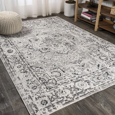 Jonathan Y Denia Ornate Geometric Medallion Area Rug