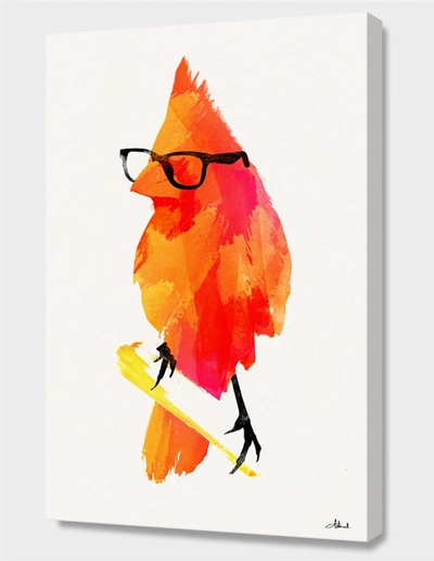 Curioos Punk Bird