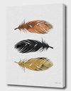 Curioos Feathers
