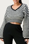 The Sang Cropped V-neck Jumper Sweater In White/black In White