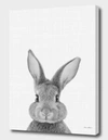 Curioos Rabbit Portrait