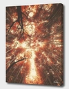 Curioos Bamboo Forest V