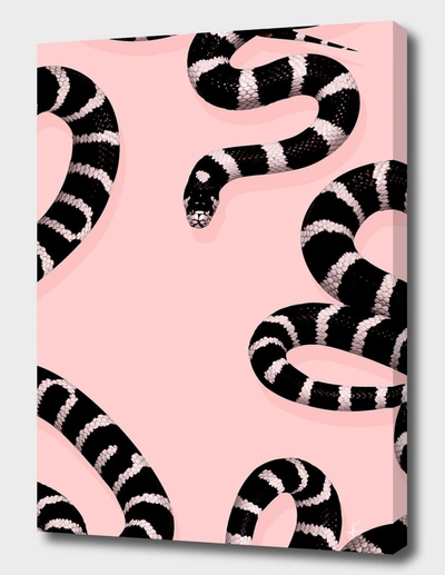 Curioos Snake Pink