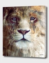 Curioos Majesty