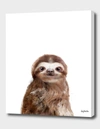 CURIOOS LITTLE SLOTH