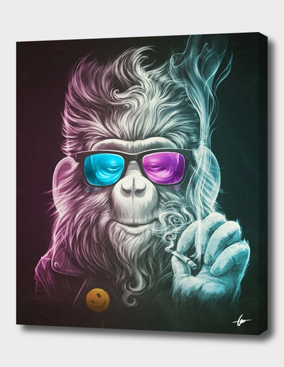 Curioos Smoky