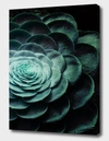 Curioos Darkside Of Succulents V-3