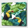 Curioos Toucans Tropical Banana Leaves Pattern
