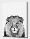 Curioos Lion Portrait