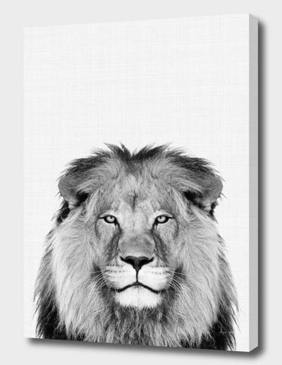Curioos Lion Portrait