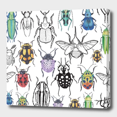 Curioos Colorful Bugs
