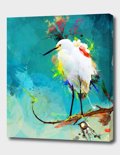 Curioos Evening Sun