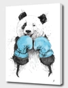 Shop Curioos The Winner